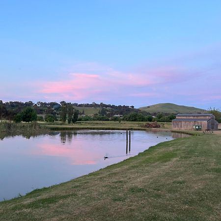 Mansfield Holiday Park 외부 사진