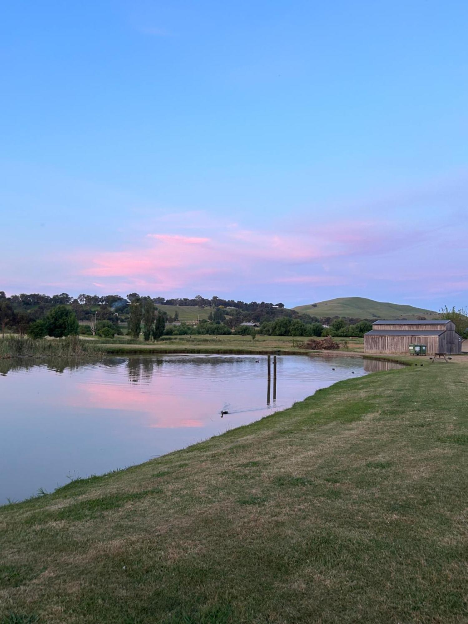 Mansfield Holiday Park 외부 사진